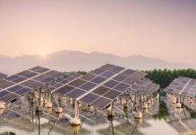 Solar-industry leader calls for action on Paris deal