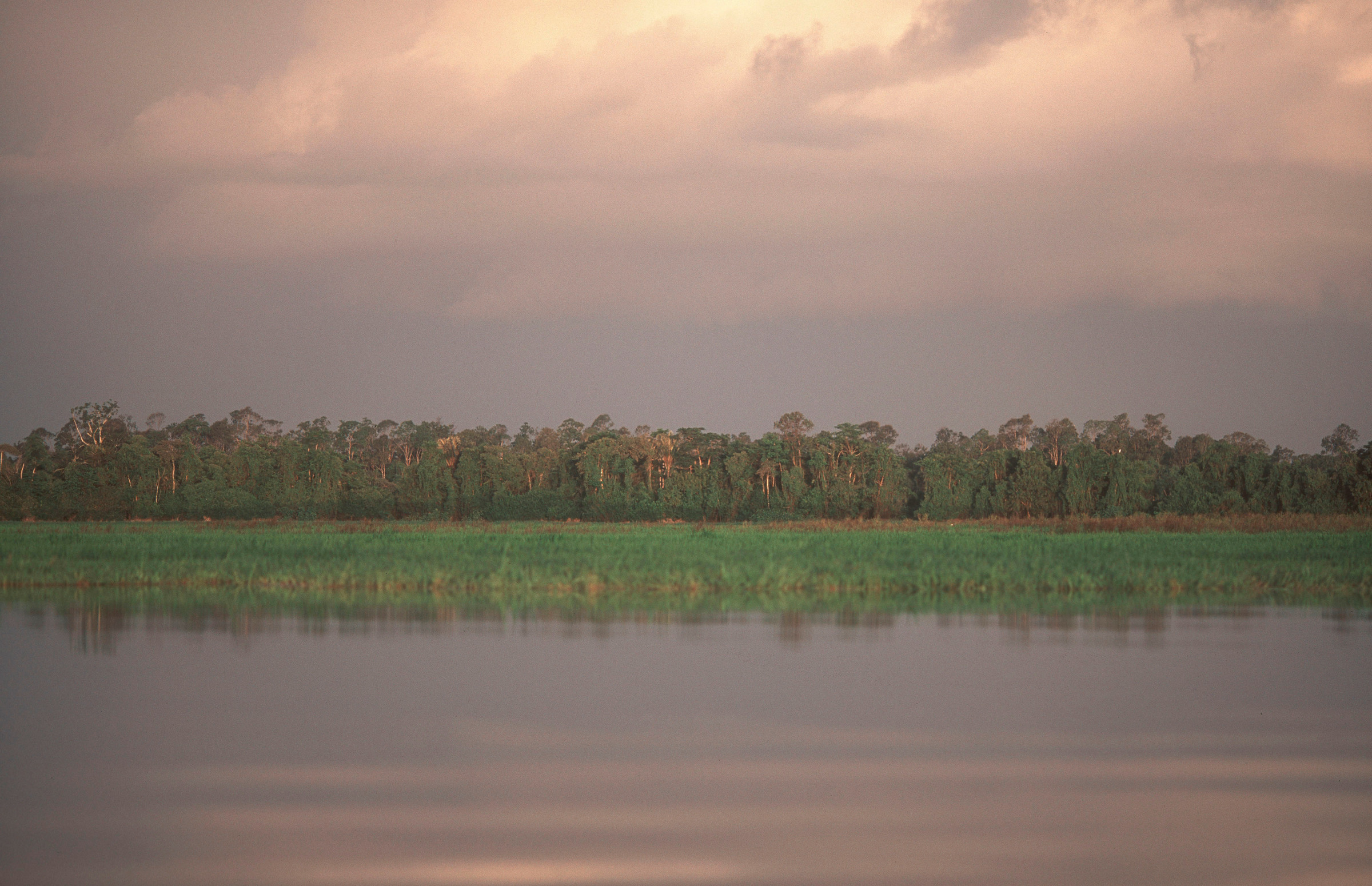 A view of the varzea close to the community of S&atilde;o Miguel, near Santarem, Para, Brazil