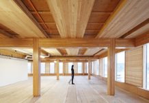 The wooden skyscrapers that could help to cool the planet.