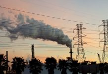ExxonMobil and Stephen Hawking just agreed to the same climate fix.