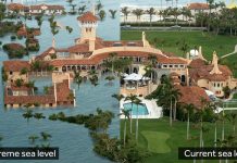 Trump doesn’t believe in climate change, but it’s going to drown Mar-a-Lago.