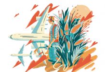 Biofuel options for aviation running low.