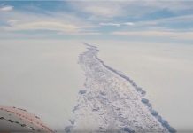 A huge ice crack in Antarctica grew 11 miles in 6 days, and a giant iceberg is coming.