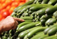 The consequences if the world decided to go meat-free.