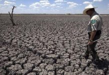 EE.UU.: Cambio climático reduciría en 20% los ingresos de un tercio de hogares más pobres