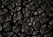 Climat : des experts soulignent un risque de creusement des inégalités aux Etats-Unis