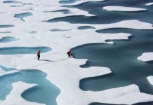 From cryosphere to blogosphere, sea ice enthusiasts track Arctic melt.