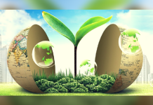PNG urged to quickly access climate fund