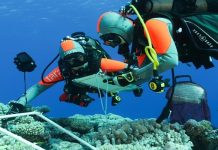 Act now to protect our oceans: Abreu