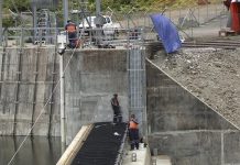 Turning to renewable energy to combat climate change