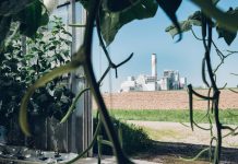 The Swiss company hoping to capture 1% of global CO2 emissions by 2025