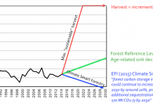 Guest post: How new EU rules could ‘hide’ climate impact of harvesting forests