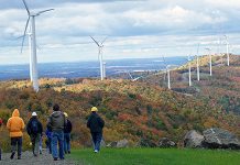 What makes people dislike wind? It's not NIMBY.