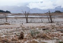 South Africa Surviving Drought – What Windhoek Can Show Cape Town