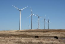 The largest wind farm in the U.S. is growing in Oklahoma. It’s a sign of the times.