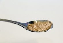 Protein From Solar Energy & Carbon Dioxide Could Slow The Pace Of Climate Change