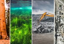 To avoid climate catastrophe, we need to work on carbon storage.