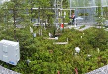 Undiscovered peatlands might be the most important thing you learn about today. Here’s why.