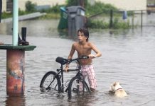 Climate Change Could Cut Southern U.S. Incomes by 20%
