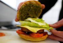 Climate change: Your meat-free diet can save the planet.