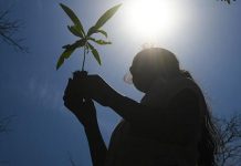 Bastan 0,5°C grados de más para multiplicar los efectos del cambio climático