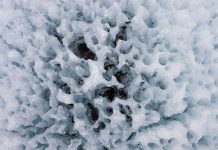 Melting ice sheets are releasing pollutants in our water — bacteria could take some of that out of play.