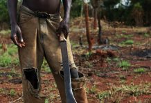Paying people to not cut down trees pays off, study finds.