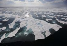 How loss of Arctic sea ice further fuels global warming