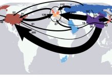 Mapped: The world’s largest CO2 importers and exporters