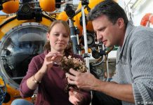 Cold-water corals: Tough times ahead in a warming climate.