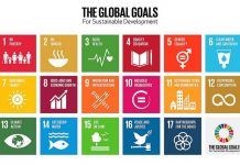 How the UNs Sustainable Development Goals can quietly change global business