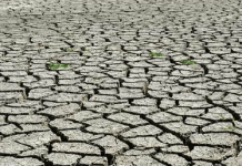 African countries must unite on climate action plans