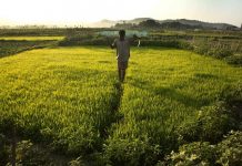NABARD takes first step to access Green Climate Fund