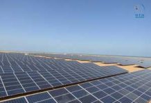 UAE leading the way on shifting to greener energy.
