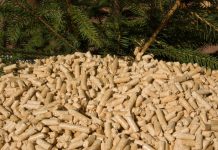 Massachusetts may overlook climate impacts of biofuels.