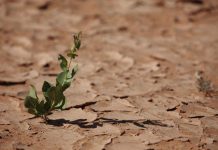 EE UU lo confirma: 2016 fue el año más cálido de la Tierra en más de un siglo
