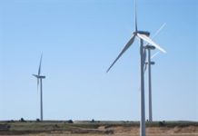 WWF pide un consumo de energía responsable ante el calor y visitar su web 'eurotopten' de electrodomésticos eficientes