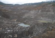 Indonesian coal firms shut down for violations fight back in court, with mixed results.