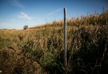 Keystone XL: Low oil prices, tar sands pullout could kill pipeline plan.