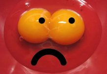 Fipronil egg scandal shocks Europeans