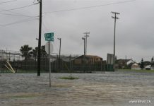 Spotlight: Hurricane Harvey renews debate over Trump's climate policies