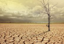 India ratifies second commitment period of Kyoto Protocol