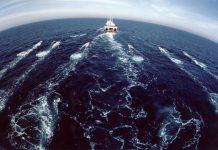 Opposition grows to seismic testing for offshore oil reserves.