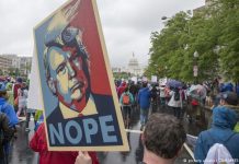 ′Trump Forest′ on its way to sucking up America′s extra emissions.