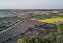The battle for villages and forests in Germany's coal country