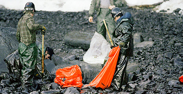 Oil spill removal on Baked Island in Prince William Sound. Photo credit: Jack Smith/Associated Press