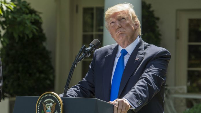 trump-looking-up-2238632414eb6799b196637748b498cd4768c490