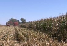 El Estado (argentino) impulsará un seguro por problemas generados por el clima en la próxima campaña agrícola