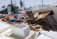 Garbage from Irma will fuel Florida’s power grid.
