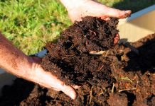 New study shows organic farming traps carbon in soil to combat climate change.
